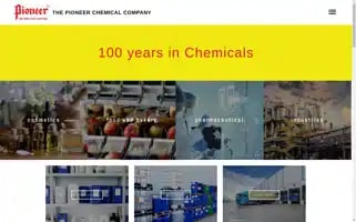 Pioneerchemicals.co.in Screenshot 2024-06-19 00:27:03