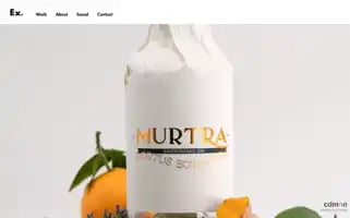 Exestudi.com Screenshot 2024-06-29 14:57:02