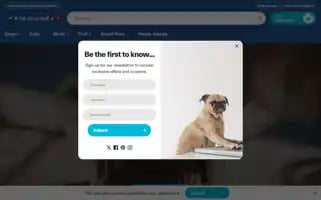 Petstreetmall.com Screenshot 2024-05-04 13:10:34