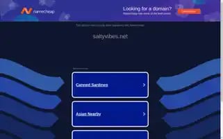 Saltyvibes.net Screenshot 2024-05-13 19:30:28