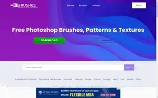 Fbrushes.com Screenshot 2024-07-01 02:11:56