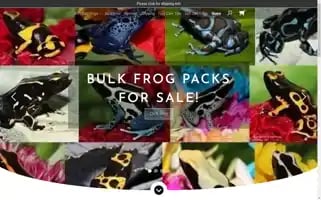 Usafrog.com Screenshot 2024-05-14 19:16:36