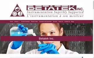 Betatekinc.com Screenshot 2024-07-03 02:19:04