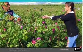 Hysses.com Screenshot 2024-05-05 11:00:22