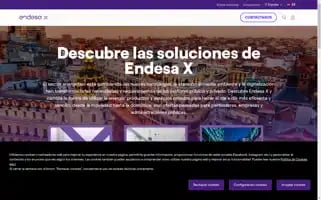 Endesax.com Screenshot 2024-07-10 01:33:02