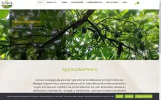 Aguacatedirecto.com Screenshot 2024-05-23 00:09:04