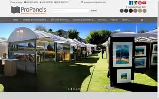 Propanels.com Screenshot 2024-05-16 14:11:10