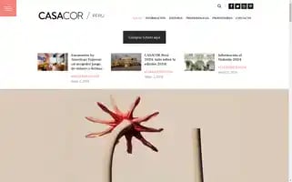 Casacorperu.com Screenshot 2024-06-16 01:56:15