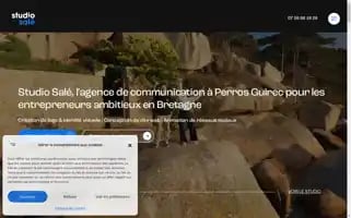 Studiosale.fr Screenshot 2024-06-17 14:49:35