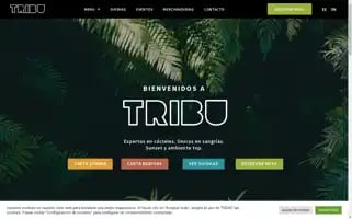 Tribuibiza.es Screenshot 2024-06-18 15:54:49