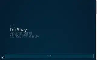 Stibelman.com Screenshot 2024-07-03 04:33:12