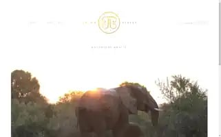 Trinktravel.com Screenshot 2024-04-25 17:32:17