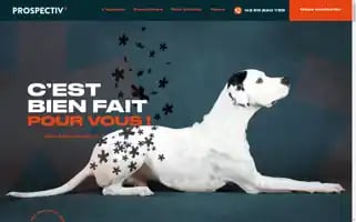 Prospectiv.net Screenshot 2024-06-17 08:28:54