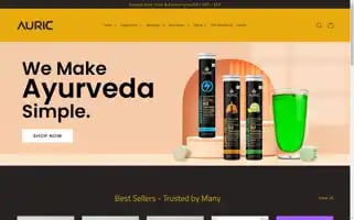 Theauric.com Screenshot 2024-05-05 14:13:03