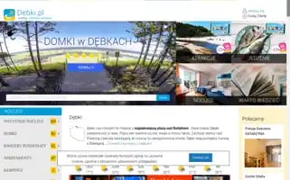 Debki.pl Screenshot 2024-06-13 22:21:32