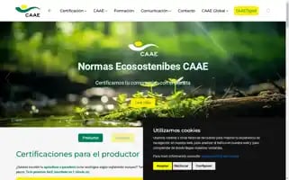 Caae.es Screenshot 2024-07-03 08:32:25