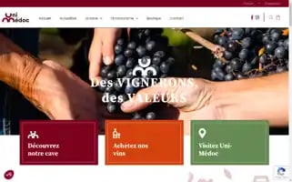 Unimedoc.com Screenshot 2024-06-11 06:31:37