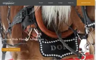 Woodboattours.com Screenshot 2024-04-18 15:32:54