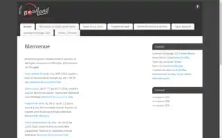 Bowland-tournoi.ch Screenshot 2024-04-17 17:40:56