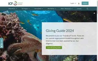 Icfdn.org Screenshot 2024-07-05 18:45:58