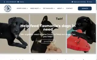 Dhot.com.au Screenshot 2024-06-12 07:04:54