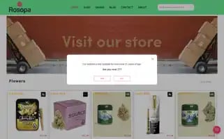 Rosopa.store Screenshot 2024-05-25 00:10:15