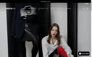 Zeezig.com Screenshot 2024-05-03 17:08:05