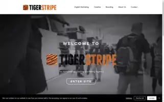 Tigerstripe.com Screenshot 2024-04-16 03:06:35