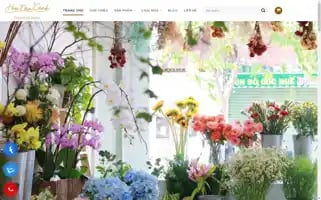 Hoanamcanh.com Screenshot 2024-05-26 20:37:15