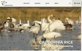 Calrice.org Screenshot 2024-07-09 08:25:10