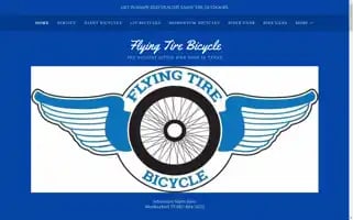 Flyingtire-bicycle.com Screenshot 2024-06-13 07:08:08