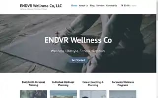 Endvrwellnessco.com Screenshot 2024-07-04 10:33:21