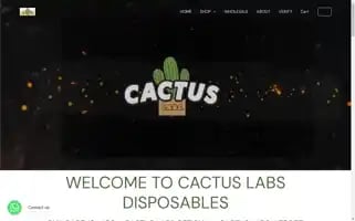 Cactuslabsdisposables.com Screenshot 2024-06-28 08:26:24