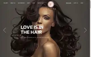 Medusastudios.com.au Screenshot 2024-06-27 11:39:13