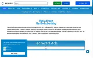 Wantaddigest.com Screenshot 2024-05-14 23:37:44