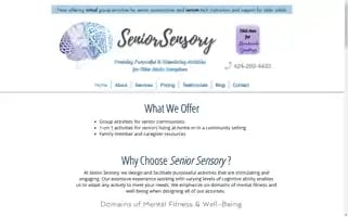 Seniorsensory.com Screenshot 2024-07-04 06:41:14