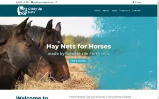 Giddyupnets.com.au Screenshot 2024-05-21 05:31:51
