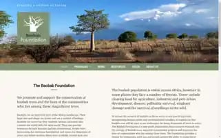 Baobabfoundation.co.za Screenshot 2024-06-29 13:44:10