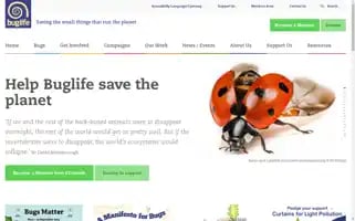 Buglife.org.uk Screenshot 2024-06-30 12:46:44
