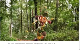 Kidizin.com Screenshot 2024-06-15 12:09:05
