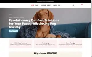 Redbeamtherapy.com Screenshot 2024-05-19 07:11:35