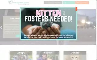 Mauihumanesociety.org Screenshot 2024-06-26 12:36:30