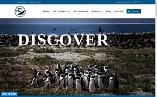 Dict.org.za Screenshot 2024-06-30 13:17:59