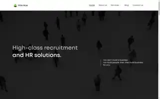 Hire-ace.com Screenshot 2024-05-20 11:44:28