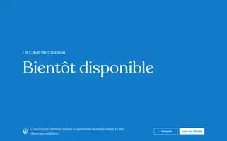 Lacaveduchateau16500.fr Screenshot 2024-05-22 09:01:21