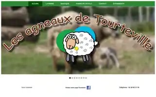 Les-agneaux-de-tourteville.fr Screenshot 2024-04-26 10:28:18