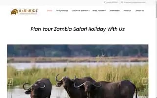 Bushridetraveltours.com Screenshot 2024-04-23 10:04:45