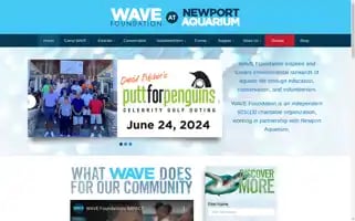 Wavefoundation.org Screenshot 2024-06-29 23:03:06