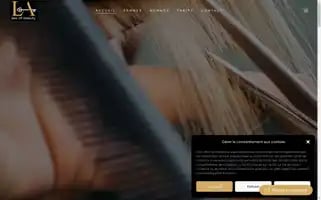 Law-of-beauty.ch Screenshot 2024-05-28 22:27:30