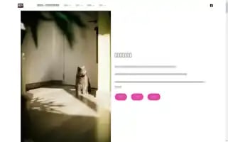 Felinewisdom.net Screenshot 2024-05-25 16:38:53